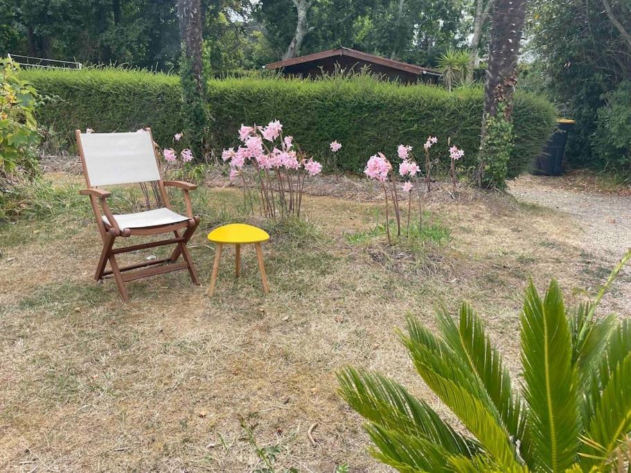 Ty France Villa Crozon Dış mekan fotoğraf